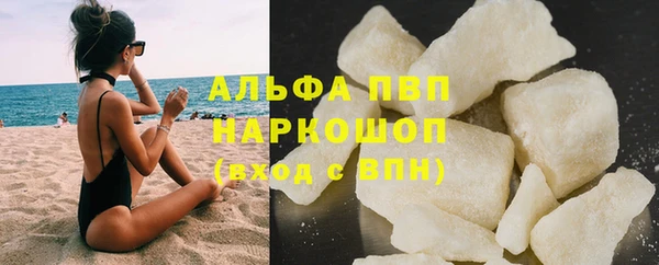 прущие грибы Майский