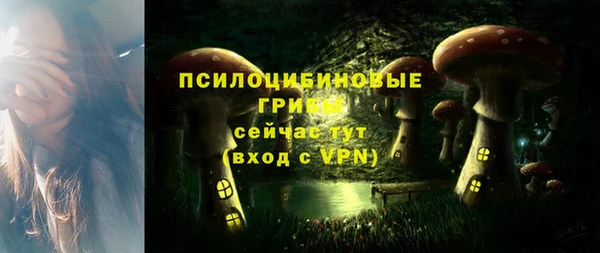 шишки Магадан