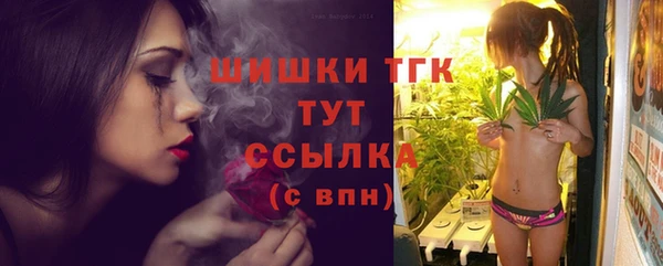 прущие грибы Майский