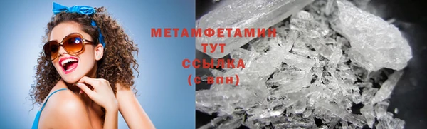 прущие грибы Майский
