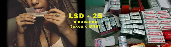 прущие грибы Майский