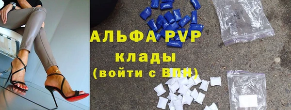 прущие грибы Майский