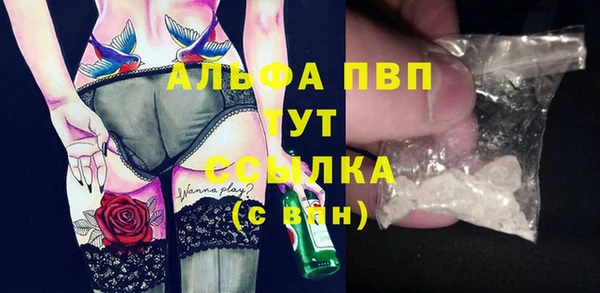 прущие грибы Майский