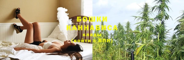 прущие грибы Майский