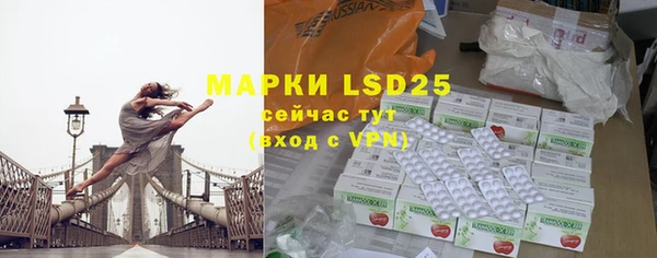 прущие грибы Майский