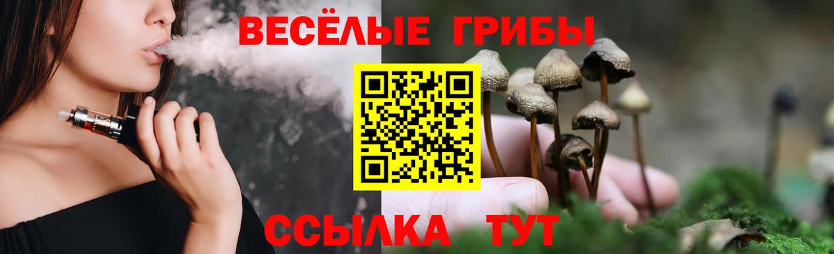 Галлюциногенные грибы Cubensis  Вход с VPN  Рославль 